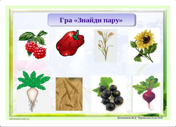 різноманітності культурних рослин - презентація з природознавства